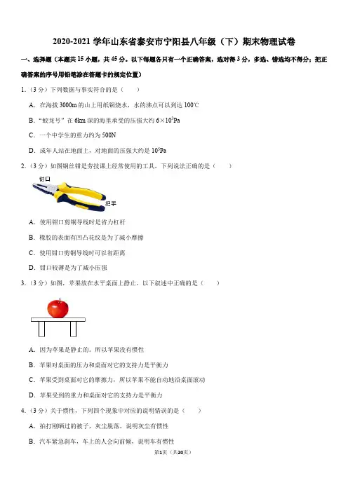 2020-2021学年山东省泰安市宁阳县八年级(下)期末物理试卷(Word+答案)