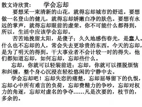 为了忘却的记念hao