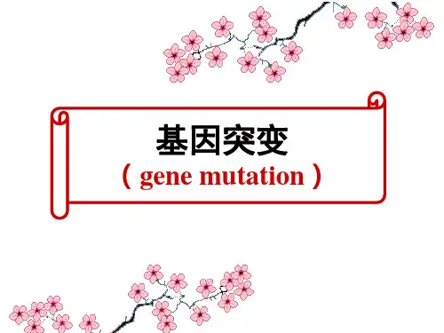 遗传学-基因突变