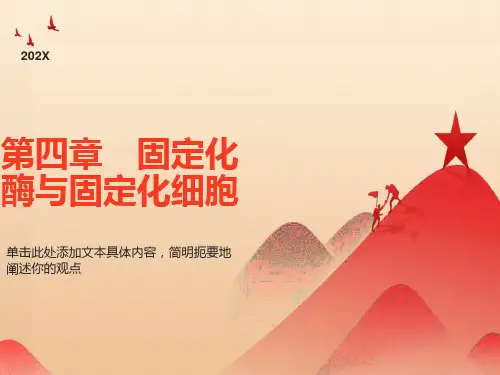 固定化酶与固定化细胞