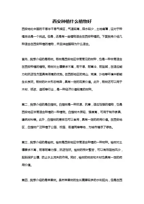 西安种植什么植物好