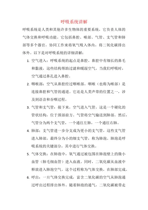 呼吸系统讲解