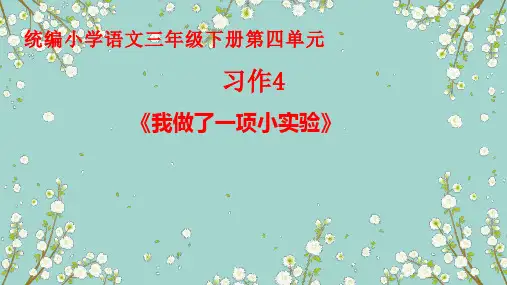 习作：我做了一项小实验ppt课件