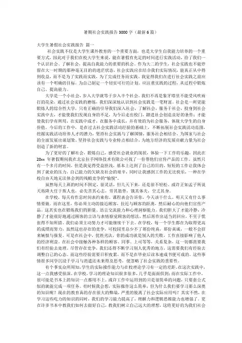 暑期社会实践报告3000字(最新6篇)