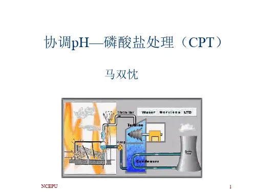 10协调pH—磷酸盐处理(CPT)解析