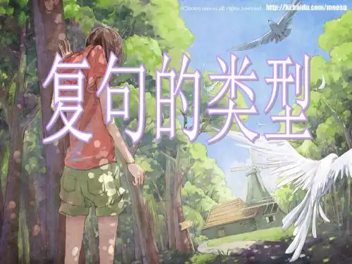 复句的类型(全优课堂精简版)