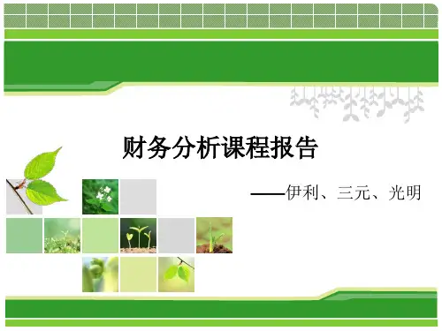 伊利财务分析