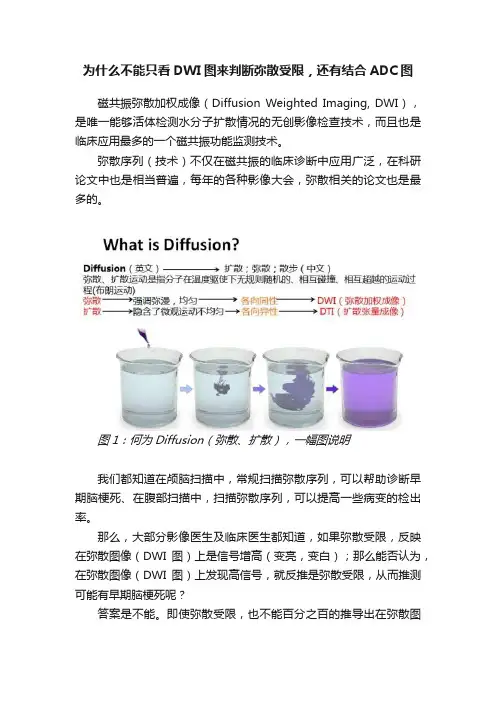 为什么不能只看DWI图来判断弥散受限，还有结合ADC图