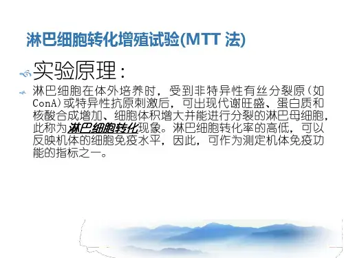 MMT