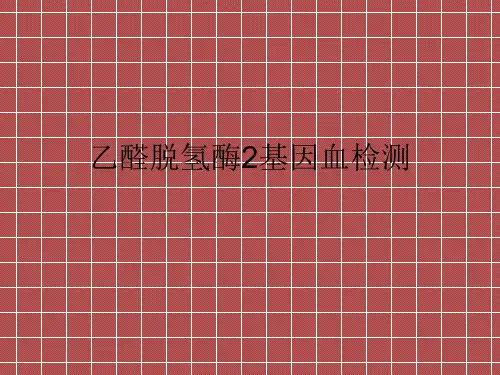 乙醛脱氢酶2基因检测