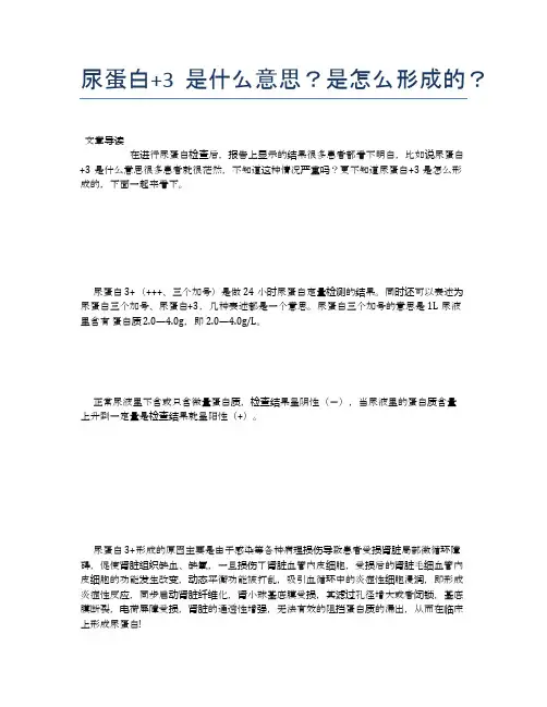 尿蛋白+3是什么意思？是怎么形成的？【健康小知识】