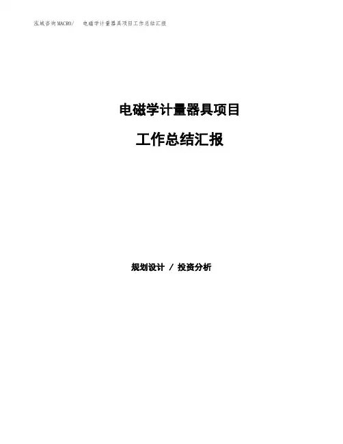 电磁学计量器具项目工作总结汇报