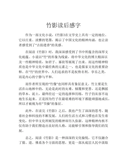 竹影读后感字