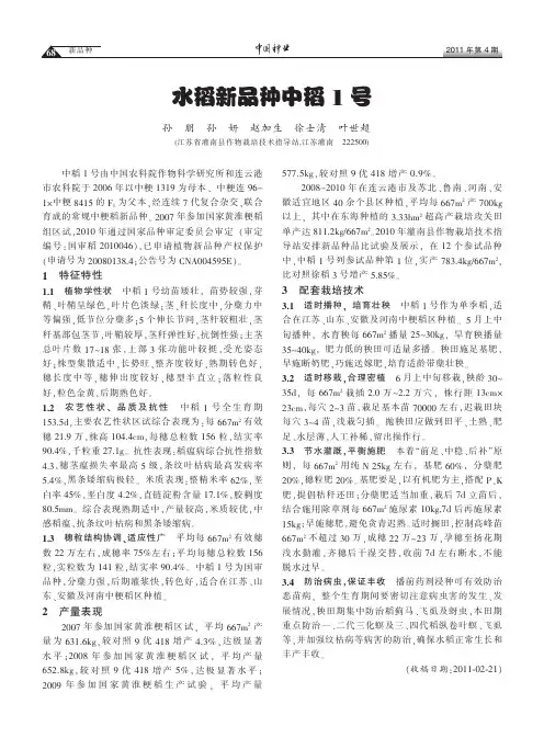 水稻新品种中稻1号