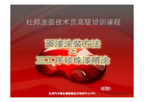 DPR-T10(面漆喷涂三)