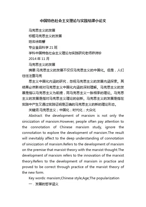 中国特色社会主义理论与实践结课小论文