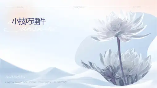 小讲课技巧护理课件