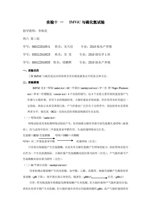微生物生理生化实验报告