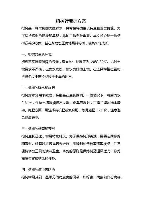 榕树行养护方案