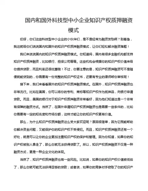 国内和国外科技型中小企业知识产权质押融资模式