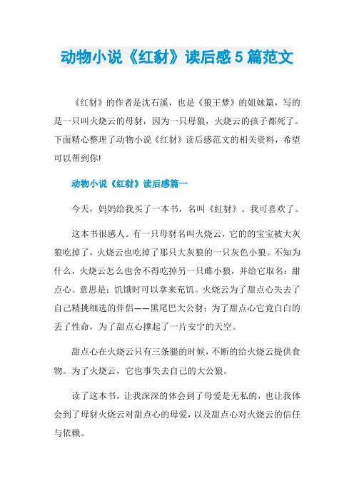 动物小说《红豺》读后感5篇范文