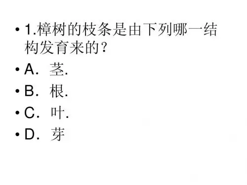 被子植物的一生小测