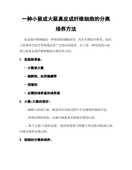 一种小鼠或大鼠真皮成纤维细胞的分离培养方法