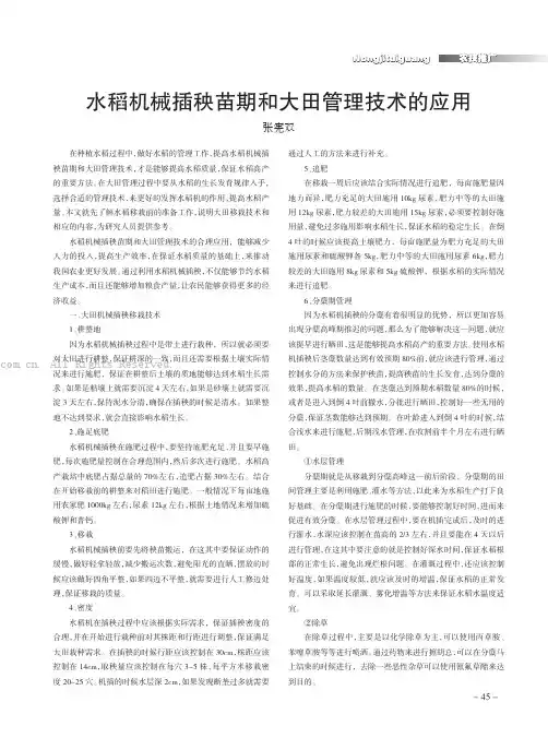 水稻机械插秧苗期和大田管理技术的应用