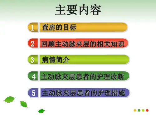 主动脉夹层教学查房演示课件
