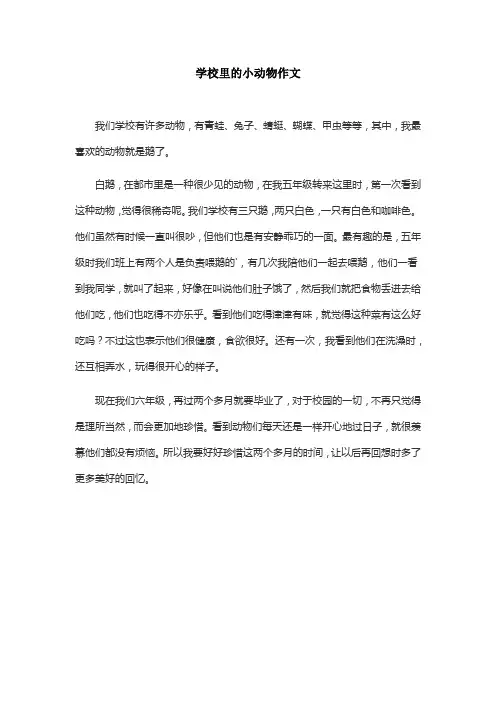 学校里的小动物作文