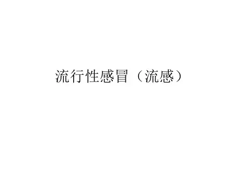 流行性感冒流感PPT课件