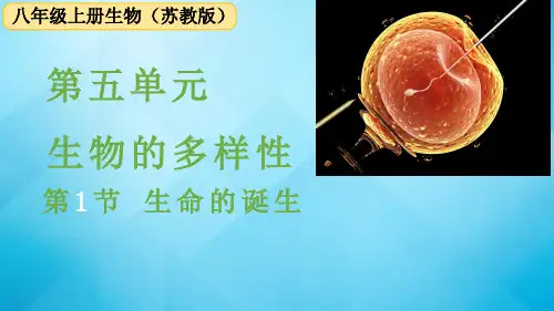 苏教版生物八年级上册  第十六章 生命起源和生物进化