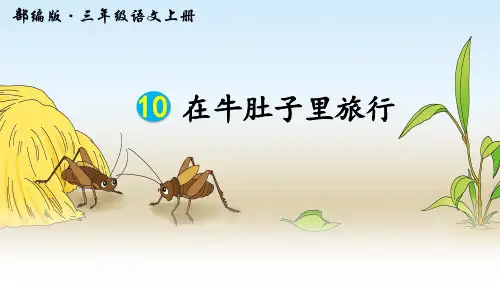 最新部编版三年级语文上册第10课《在牛肚子里旅行》优质课件