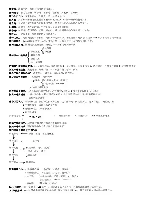 酶工程总结