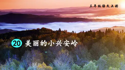 部编人教版三年级语文上册第20课《美丽的小兴安岭》优质课件