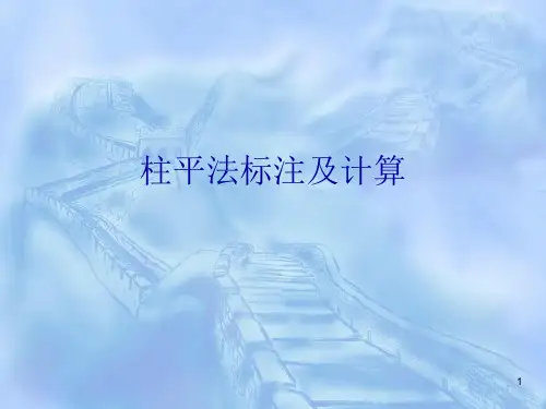 柱的钢筋平法(实用)ppt课件