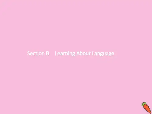 2020_2021学年新教材高中英语Unit2BRIDGINGCULTURESSectionBLearningAboutLanguage课件人教版必修2