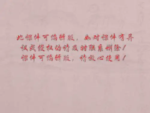 安全领导力与执行力讲座ppt课件