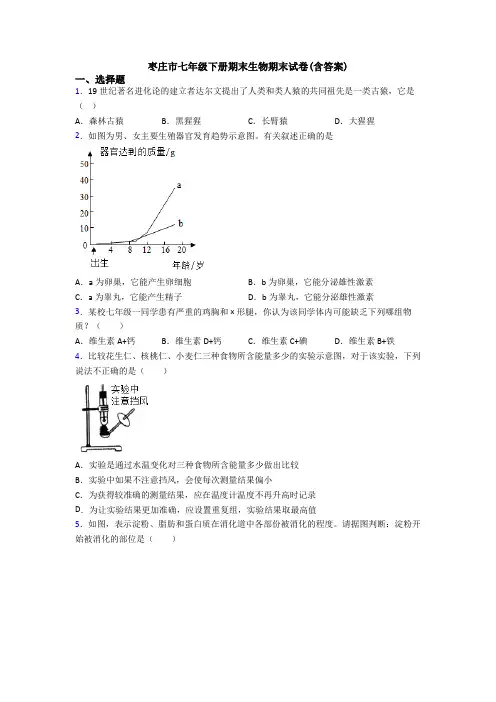 枣庄市七年级下册期末生物期末试卷(含答案)
