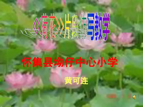 语文人教版三年级下册《荷花》片段仿写教学设计