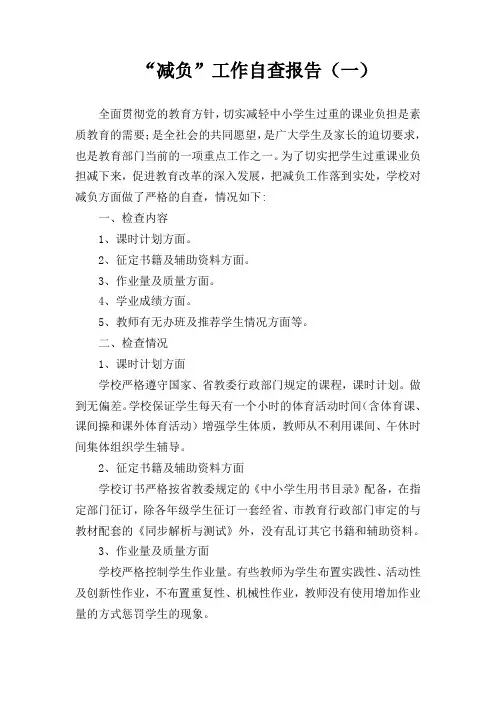 减负自查报告(三篇)