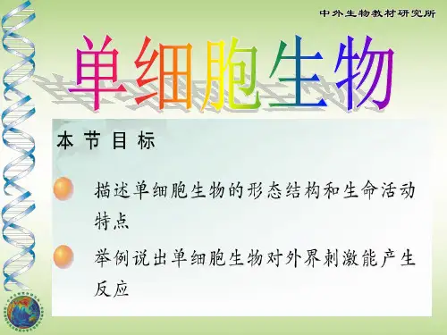 草履虫常见的单细胞生物