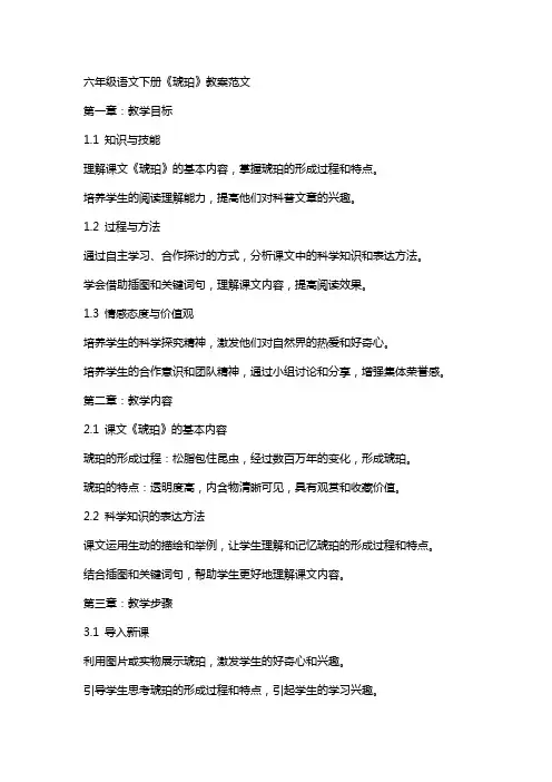 六年级语文下册《琥珀》教案范文
