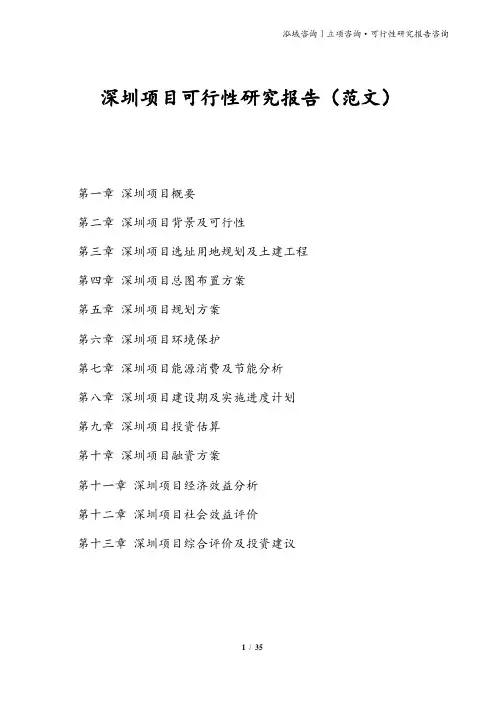深圳项目可行性研究报告(范文)