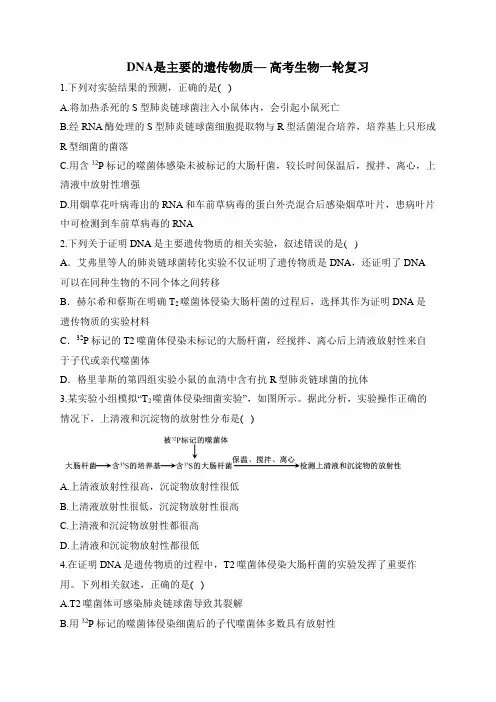 高考生物一轮复习讲义——DNA是主要的遗传物质