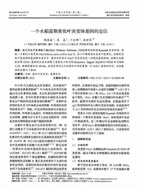 一个水稻苗期黄化叶突变体基因的定位