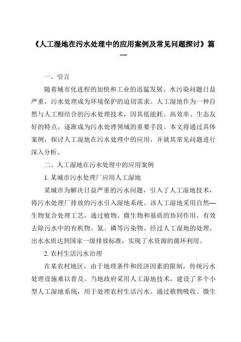 《2024年人工湿地在污水处理中的应用案例及常见问题探讨》范文