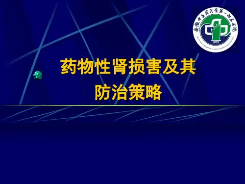 药物性肾损害的防治措施