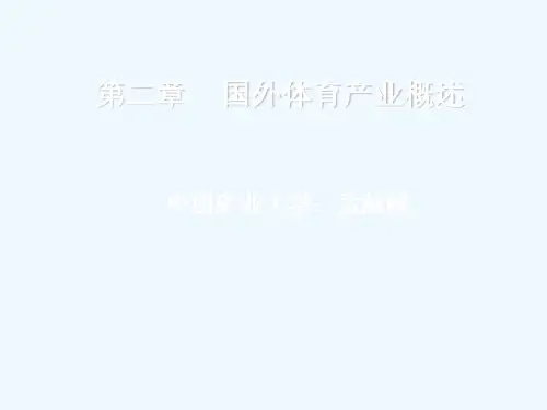 第二章国外体育产业案例