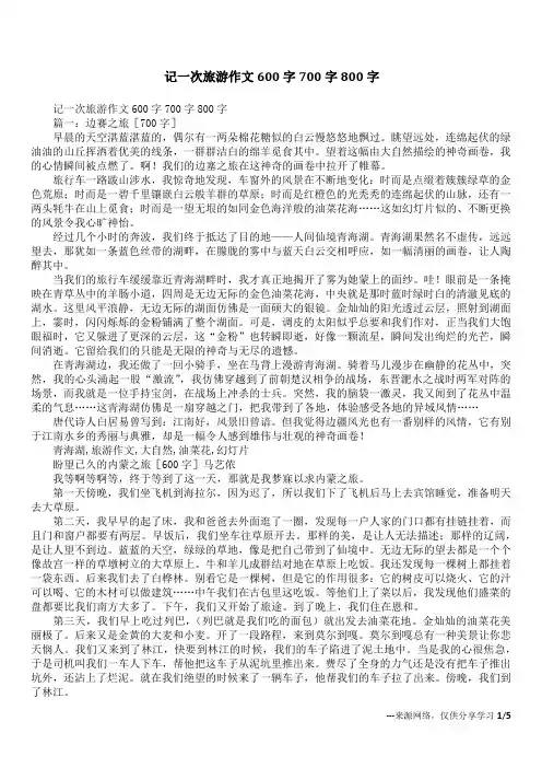 记一次旅游作文600字700字800字